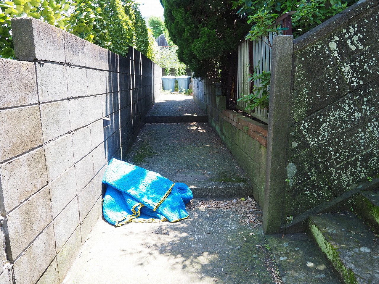 エントランスから路へ